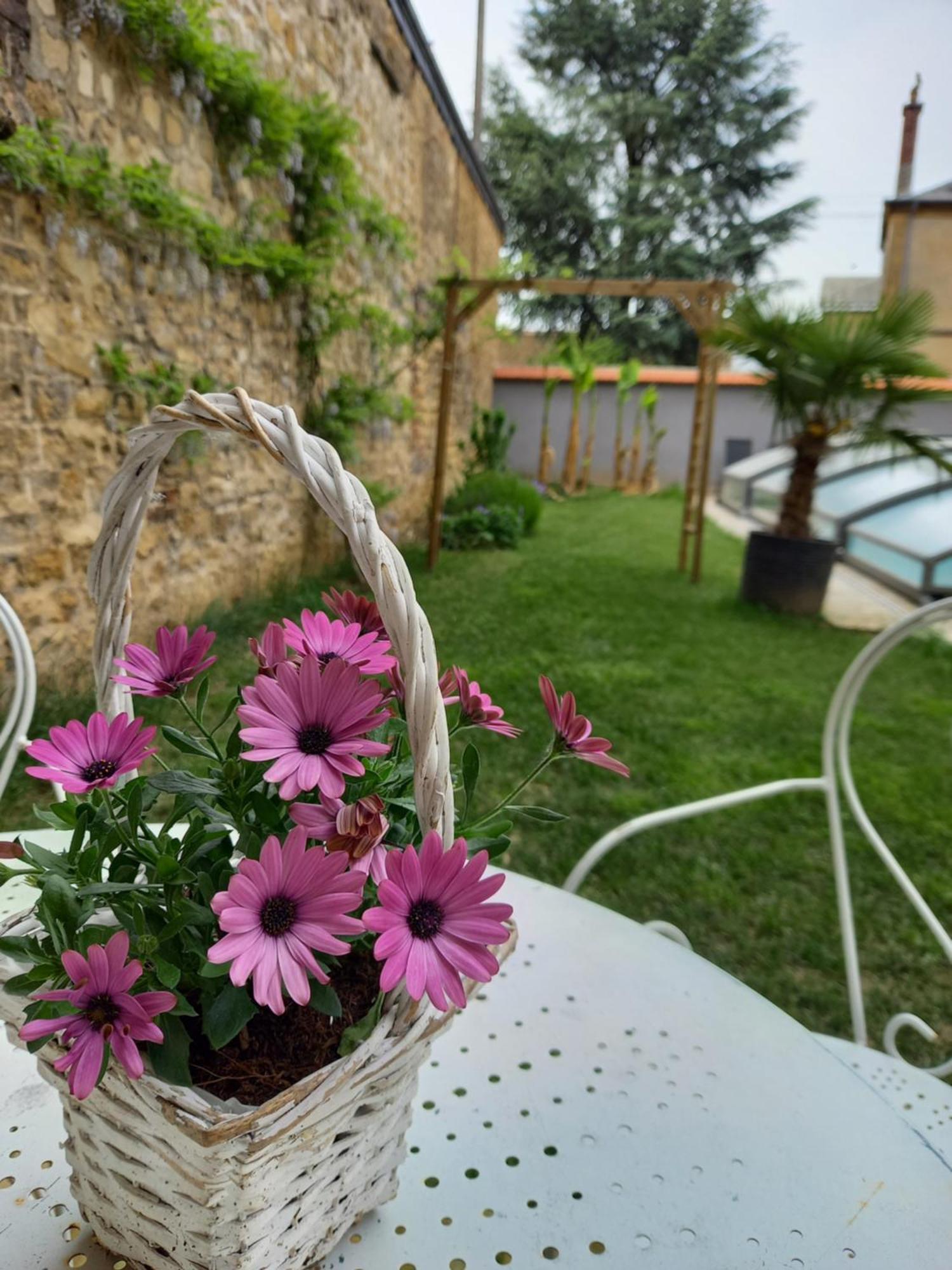 Appartement, 2Eme Etage Avec Piscine Partagee Sedan Exterior photo